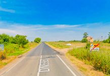 Licitație pentru modernizarea drumului DN 59B Cruceni – Livezile