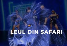 „Leul din Safari”, piesa artiștilor timișeni LocoDJ și Rodica Olariu a ajuns la aproape trei milioane de vizionări (video)