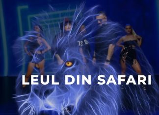 „Leul din Safari”, piesa artiștilor timișeni LocoDJ și Rodica Olariu a ajuns la aproape trei milioane de vizionări (video)