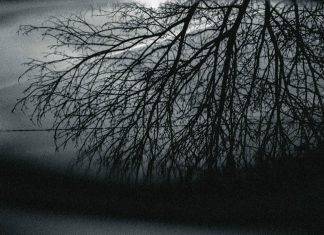 Aquatim a deschis drumul unui tânăr către premiul Concursului internațional The Water We Want 2024