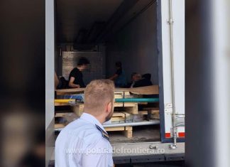 11 cetățeni străini descoperiți în PTF Nădlac ll, ascunși pe role metalice transportate de un șofer turc