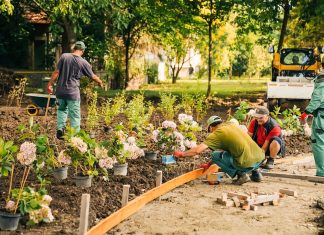 Alee cu bănci și amenajare verde pe terenul recuperat din Calea Aradului