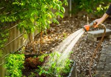 Apa din rețea nu este pentru udatul grădinilor!