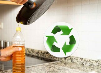 Firma fostei consiliere USR Ana Munteanu, Oilright SRL, va semna un acord de colaborare cu Primăria Timișoara pentru colectarea uleiului folosit. Nu este specificată valoarea în lei a acordului