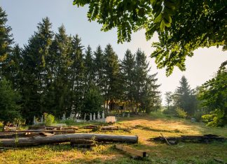 Zilele Patrimoniului sărbătorite la Povergina: povești, rețete culinare și gastronomie locală într-o minunată localitate din județ