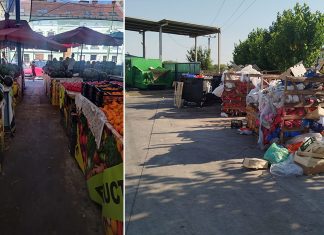 90 de comercianți verificați și 24 de sancțiuni aplicate pentru nemenținerea curățeniei, folosirea de cântare neverificate și lipsa etichetelor de produs în piețele Mehala și Badea Cârțan