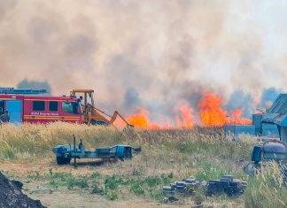 Incendiu de vegetație lângă Timișoara, la Urseni (foto)