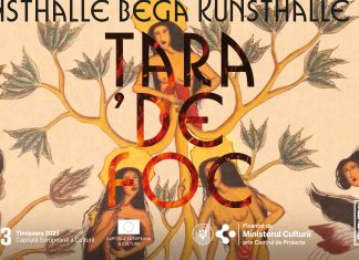 Kunsthalle Bega prezintă expoziția internațională „Țara de foc” / „Land of fire”