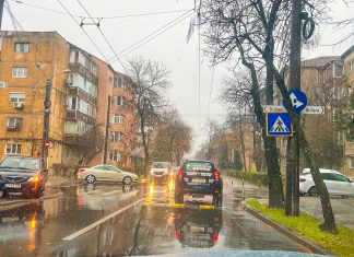 Prima ninsoare din acest sezon de iarnă la Timișoara (video)