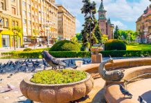 Porumbeii, victime colaterale în disputa dintre Prefectură și Consiliul Local Timișoara