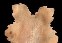 Frunza de stejar sculptată în lemn, dăruită de Brâncuși lui Traian Vuia, obiectul din colecția Muzeului Național al Banatului