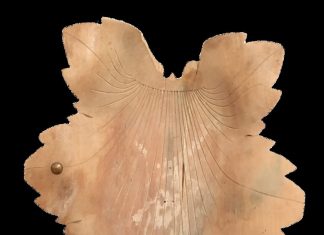 Frunza de stejar sculptată în lemn, dăruită de Brâncuși lui Traian Vuia, obiectul din colecția Muzeului Național al Banatului