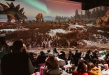 MINA Pop-Up rămâne în Iulius Town până pe 23 februarie și prezintă un nou show imersiv pentru copii: „Dinozaurii – o călătorie imersivă în lumea preistorică”