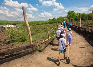 Organizatorii Festivalului CODRU caută voluntari pentru plantarea de copaci în satul Ianova, comuna Remetea Mare. Cum te poți înscrie pe listă?