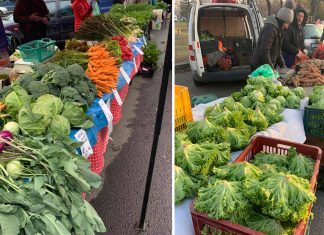 Fructe și legume proaspete mai aproape de casă: piețe volante în Freidorf și la fostul Ștrand Termal