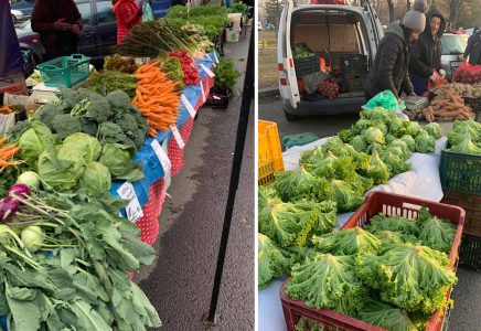 Fructe și legume proaspete mai aproape de casă: piețe volante în Freidorf și la fostul Ștrand Termal