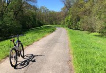 Banat Brunch în Parcul Natural Lunca Mureșului, la Secusigiu