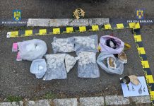 Flagrant pe autostrada A1: Cocaină, heroină și ecstasy în mașina unor traficanți olandezi