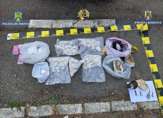 Flagrant pe autostrada A1: Cocaină, heroină și ecstasy în mașina unor traficanți olandezi