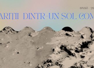 „Apariții dintr-un sol comun” – o expoziție colectivă despre compost, comunitate și transformare