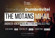 Festival de patru zile la Dumbrăvița: Muzică, dans și bucate tradiționale în Parcul Central