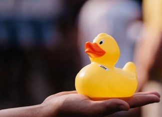 Cursa Rățuștelor pe Bega revine pe 1 Iunie 2025! 16 ediții de bucurie, solidaritate și fapte bune