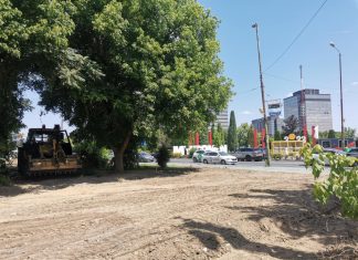 FOTO Spațiu eliberat pe Calea Aradului: pizzeria Poli, demolată complet. Zona va deveni spațiu verde