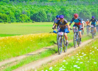 CS Tibiscus domină pe două roți: Podiumuri multiple în competiții naționale