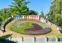 Timișoara își redescoperă simbolurile: Ceasul Floral reamenajat cu mii de flori produse local (foto)