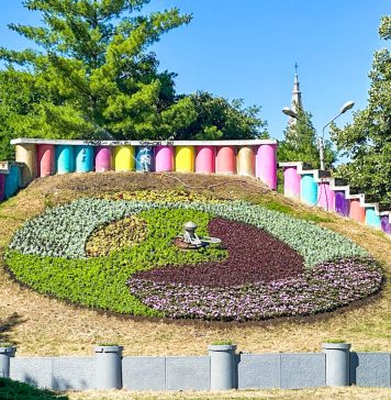 Timișoara își redescoperă simbolurile: Ceasul Floral reamenajat cu mii de flori produse local (foto)