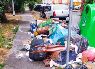 Amenzi de 1,5 milioane lei date de Poliția Locală în 5 luni pentru deșeuri abandonate