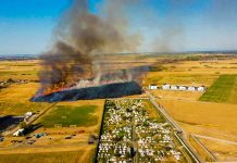 Primarul din Moșnița anunță amenzi fără somație pentru terenurile neîngrijite