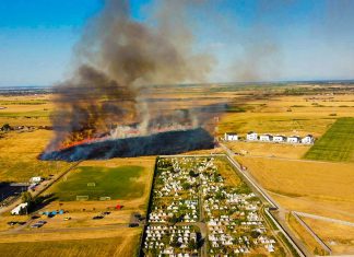 Primarul din Moșnița anunță amenzi fără somație pentru terenurile neîngrijite