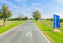 Două focare de pestă porcină africană confirmate la Lovrin. Restricții în 11 localități din Timiș