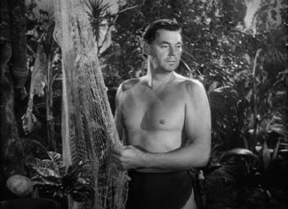 Spațiu expozițional despre Johnny Weissmuller și „Orașul Copiilor”, noile muzee pregătite în Timișoara