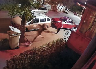 Incident nocturn pe strada Filateliei din Timișoara: bărbat filmat vandalizând pubele de gunoi (video)