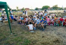 Școlile de Vară STEAM au adus știința și arta mai aproape de copiii din Timiș, Arad și Hunedoara