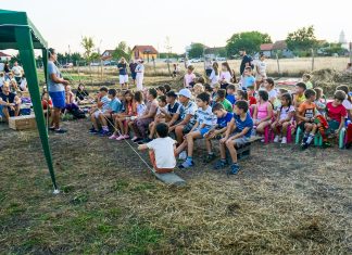 Școlile de Vară STEAM au adus știința și arta mai aproape de copiii din Timiș, Arad și Hunedoara