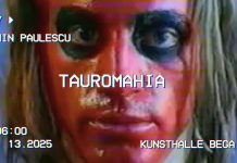 Tauromahia, video art-urile lui Cosmin Paulescu din anii ’90