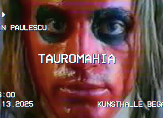 Tauromahia, video art-urile lui Cosmin Paulescu din anii ’90