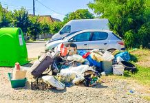 Amenzi record în Timișoara: 480.500 lei pentru abandon de deșeuri