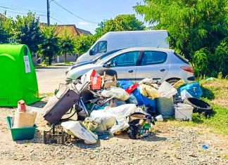Amenzi record în Timișoara: 480.500 lei pentru abandon de deșeuri