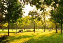 Timișoara investește în cartiere: trei terenuri abandonate devin parcuri cu locuri de joacă și zone sportive