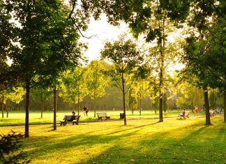 Timișoara investește în cartiere: trei terenuri abandonate devin parcuri cu locuri de joacă și zone sportive