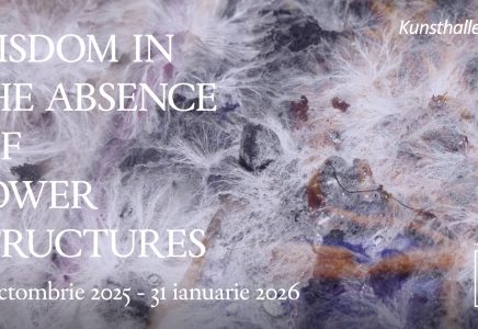 “Wisdom In The Absence Of Power Structures” – expoziția lunii, la Kunsthalle