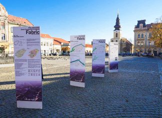 Primăria Timișoara planifică viitorul cartierului Fabric: consultare publică pentru noul plan urbanistic