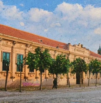 Povestea Mehalei: cum a devenit un sat sărac parte din orașul Timișoara