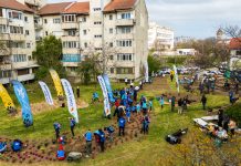Timișoara plantează o nouă pădure urbană: 6.000 de arbori în Calea Șagului