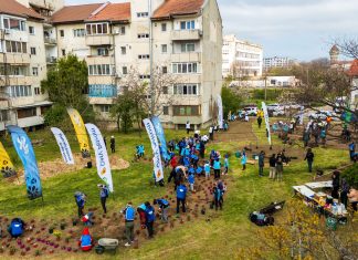 Timișoara plantează o nouă pădure urbană: 6.000 de arbori în Calea Șagului