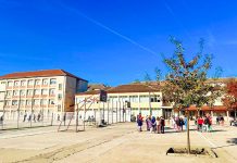 Primăria Timișoara extinde Școala Gimnazială Nr. 7 cu 20 de săli moderne și tehnologii verzi